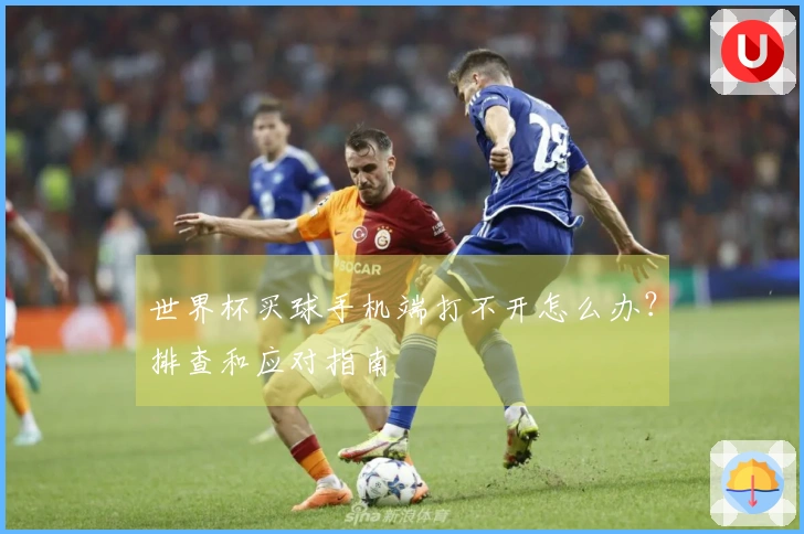 世界杯买球手机端打不开怎么办?排查和应对指南