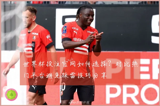 世界杯投注官网如何选择？对比热门平台避免踩雷技巧分享